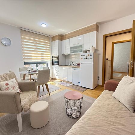 Aleksandar Apartman Sokobanja Bagian luar foto