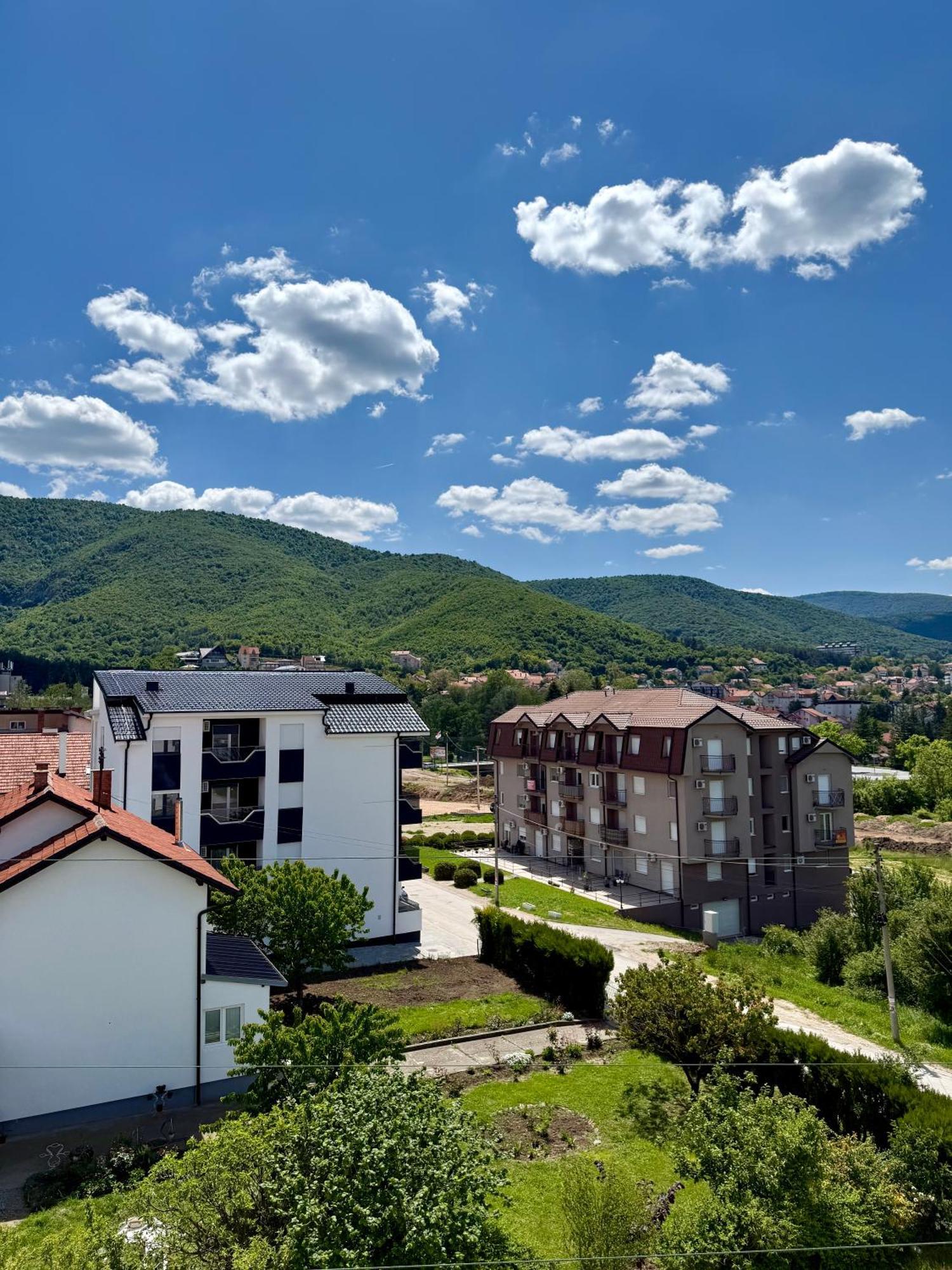 Aleksandar Apartman Sokobanja Bagian luar foto